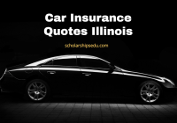 Car Insurance Quotes Illinois
