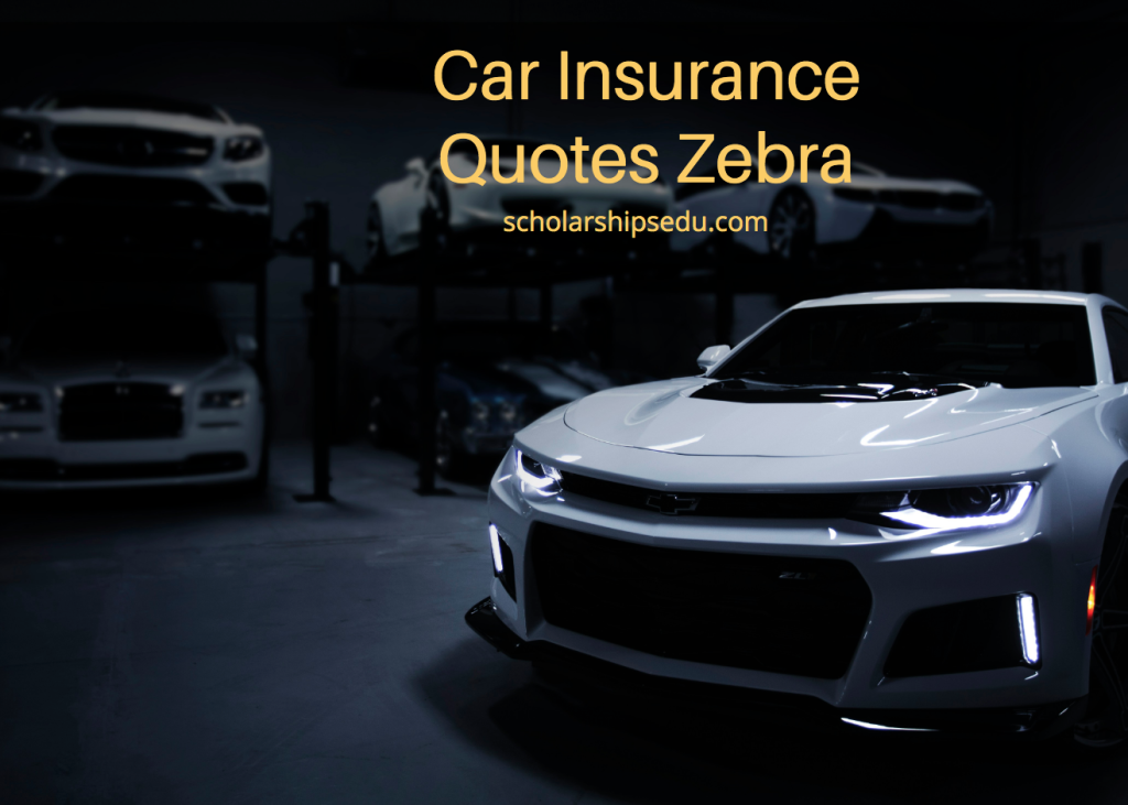 Car Insurance Quotes Zebra