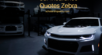 Car Insurance Quotes Zebra