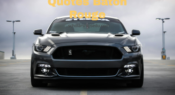Car Insurance Quotes Baton Rouge