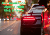 Car Insurance Quotes High Risk Drivers