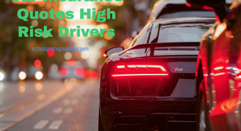 Car Insurance Quotes High Risk Drivers