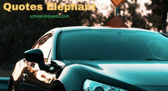 Car Insurance Quotes Elephant