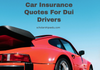 Car Insurance Quotes For Dui Drivers