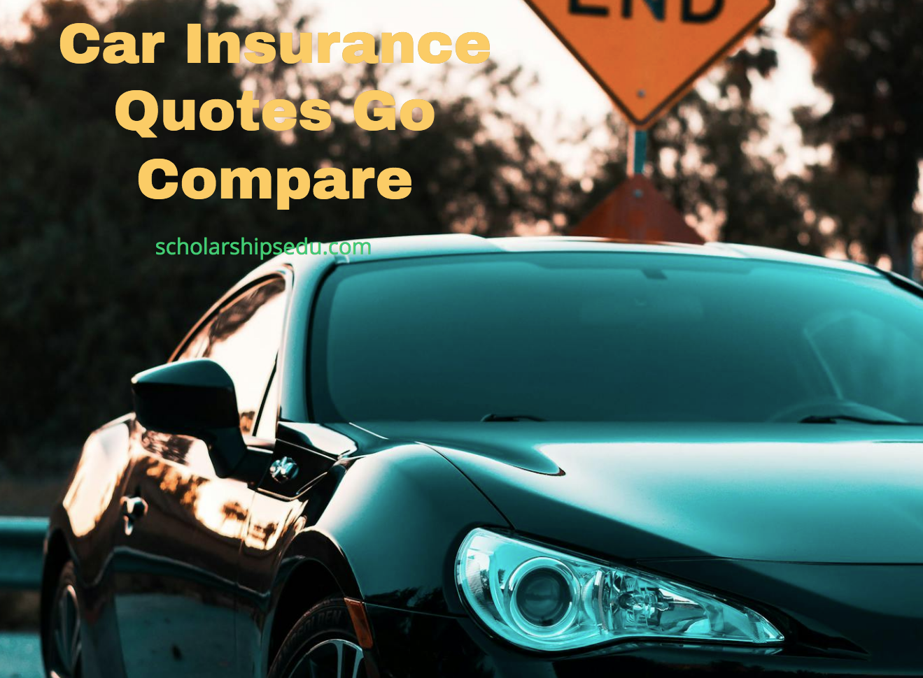 Car Insurance Quotes Go Compare