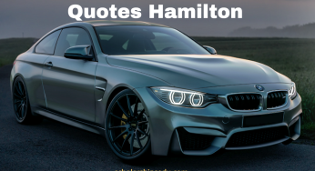 Car Insurance Quotes Hamilton