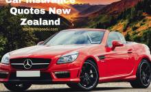 Car Insurance Quotes New Zealand
