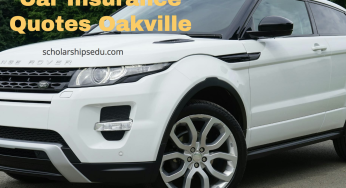 Car Insurance Quotes Oakville