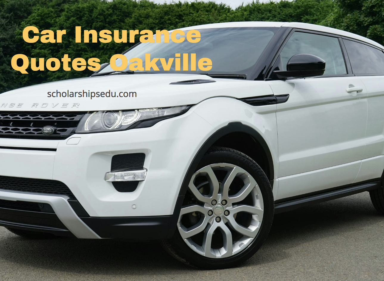 Car Insurance Quotes Oakville