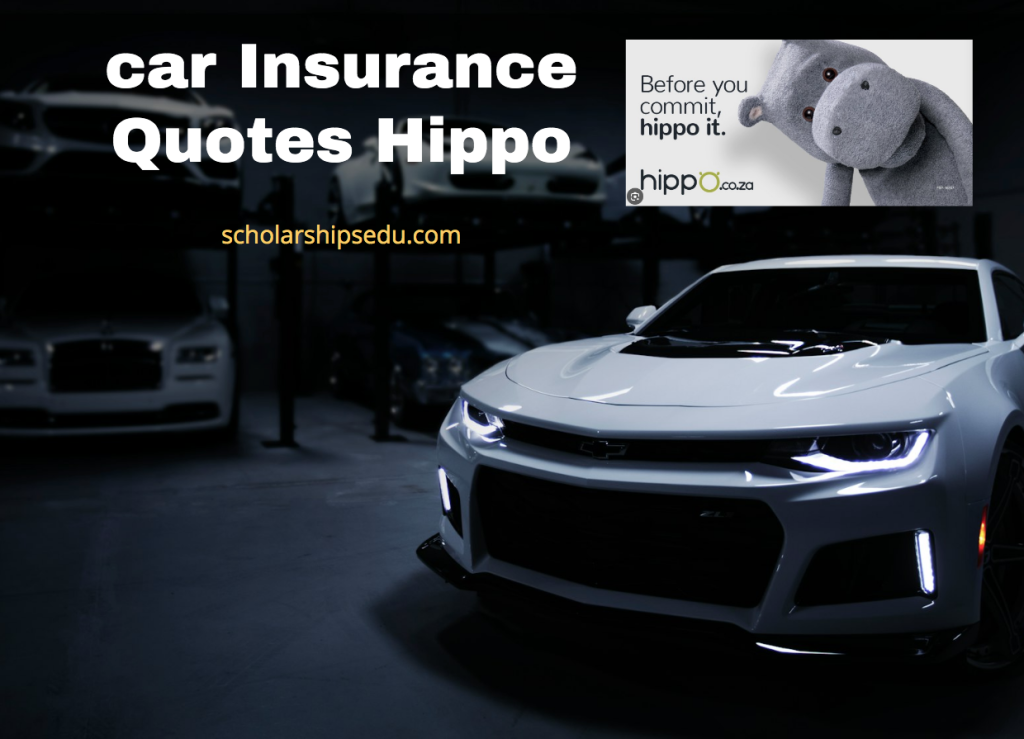 car Insurance Quotes Hippo