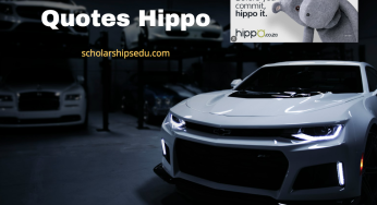 car Insurance Quotes Hippo