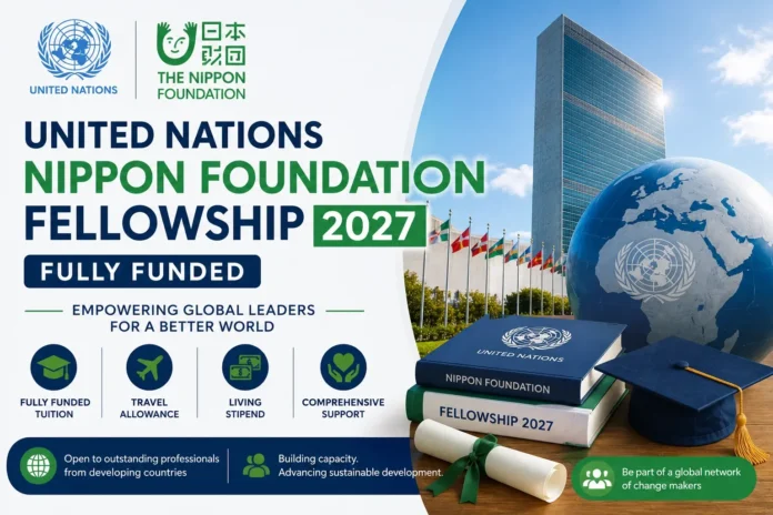 UN Nippon Foundation fellowship program poster