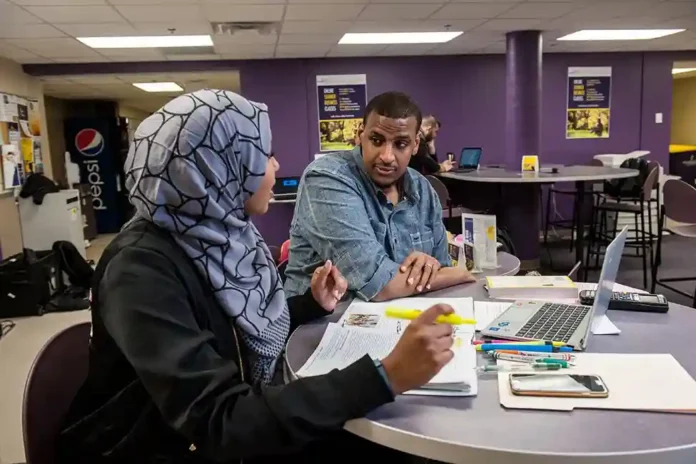 Minnesota State University Scholarship in USA
